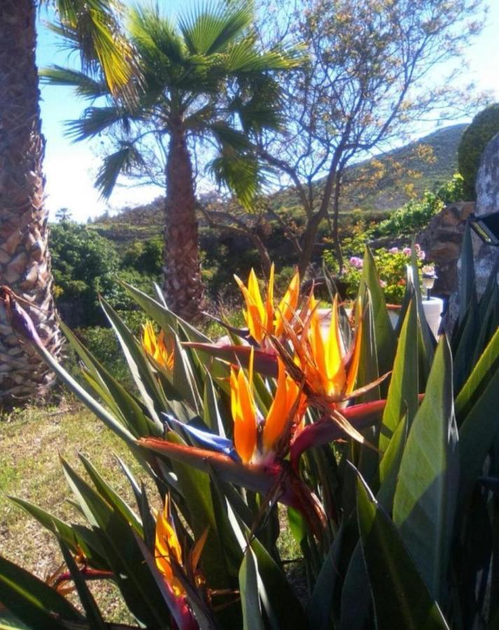 La Casita Ma Petite Folie Tenerife Santa Cruz de Tenerife Luaran gambar