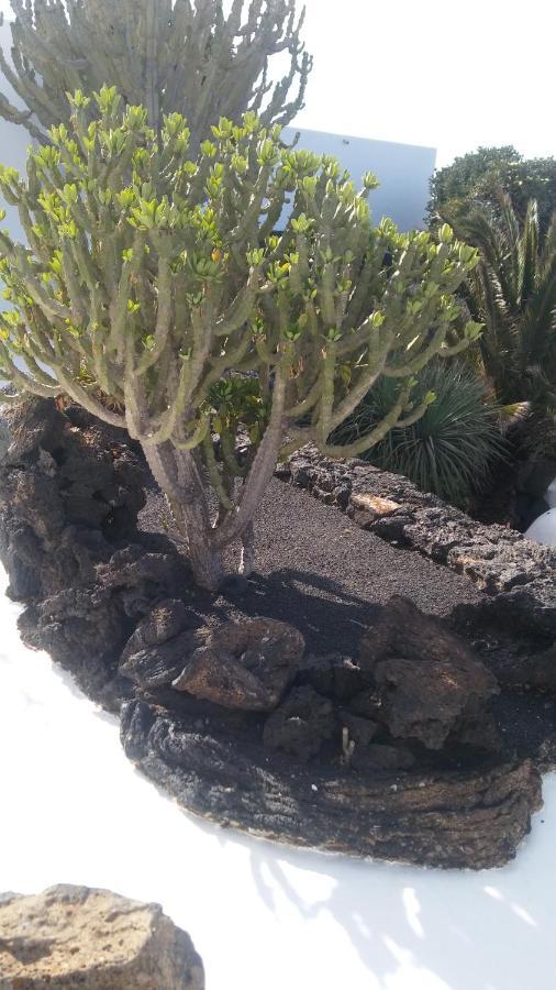 La Casita Ma Petite Folie Tenerife Santa Cruz de Tenerife Luaran gambar